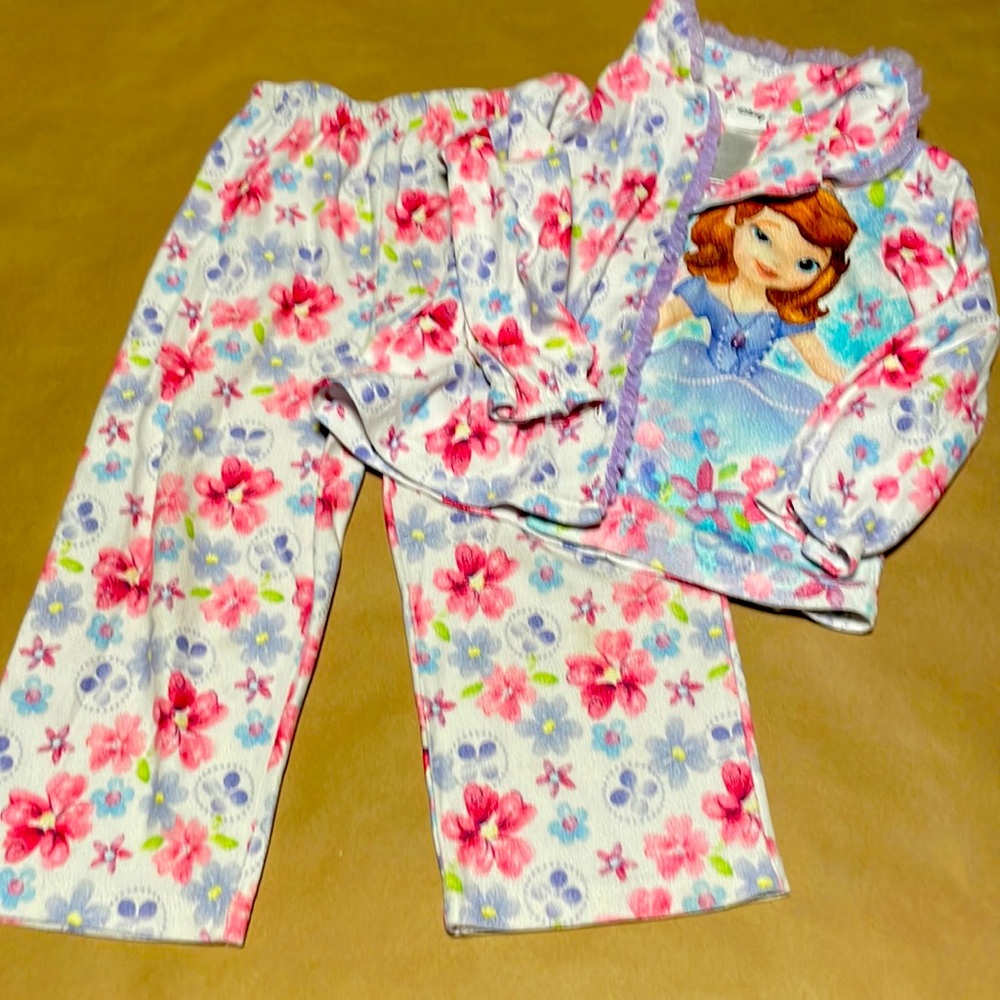 Gently used Sophia the first pajama set 4t long sleeve